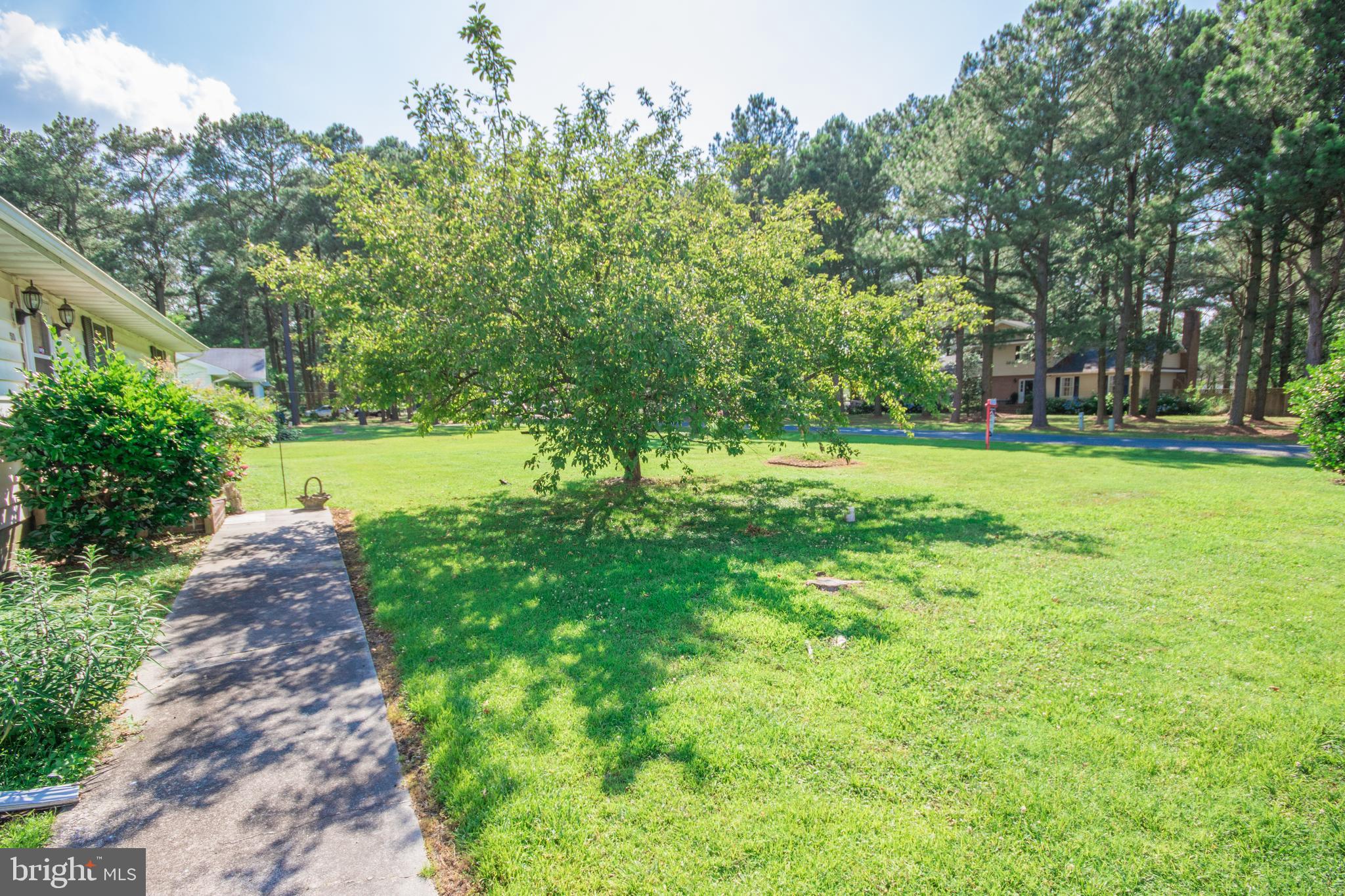 5079 Manokin Road Crisfield, MD 21817 - Photo 3 of 35 Front Yard
