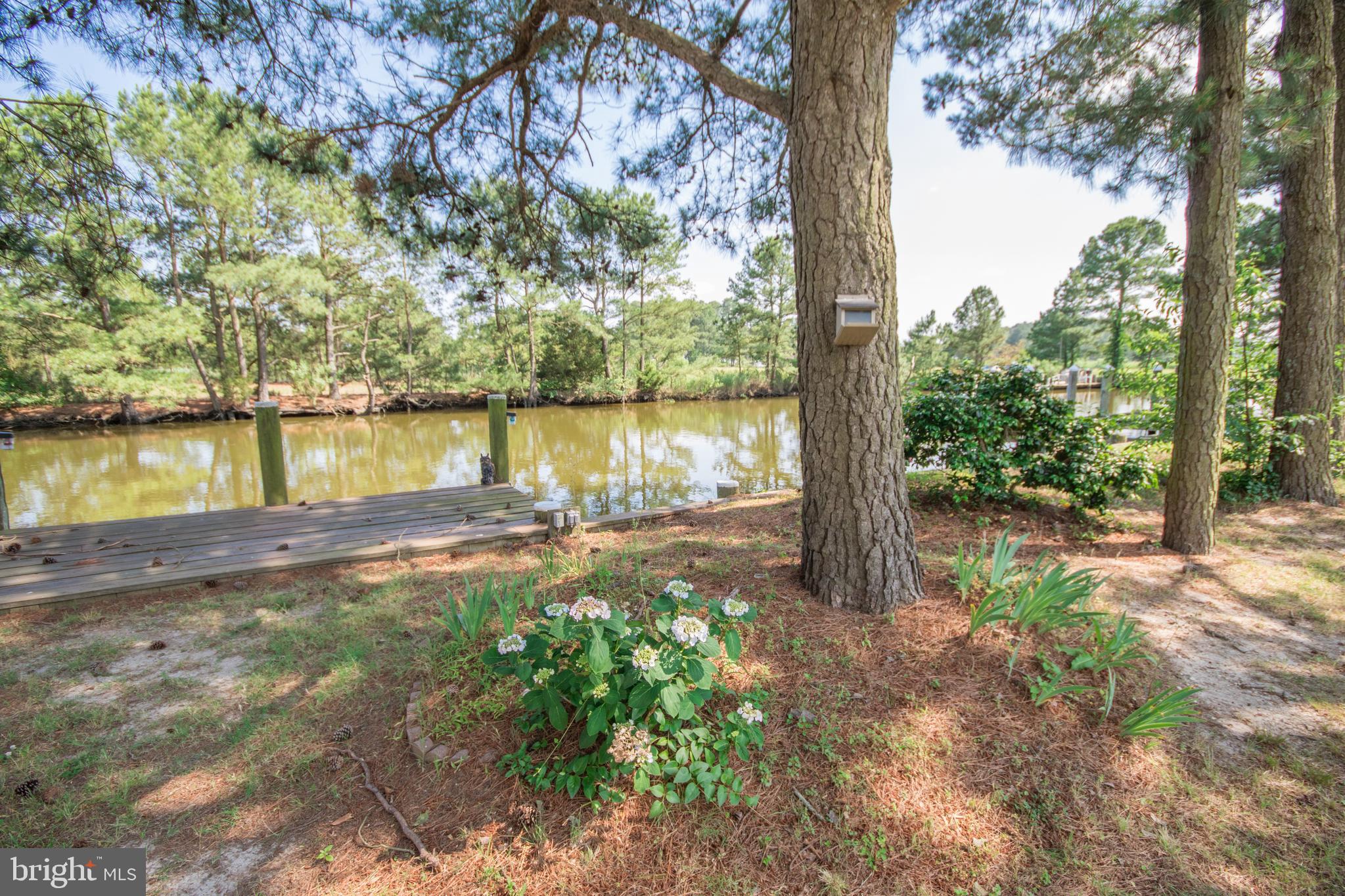 5079 Manokin Road Crisfield, MD 21817 - Photo 4 of 35 Water in Back