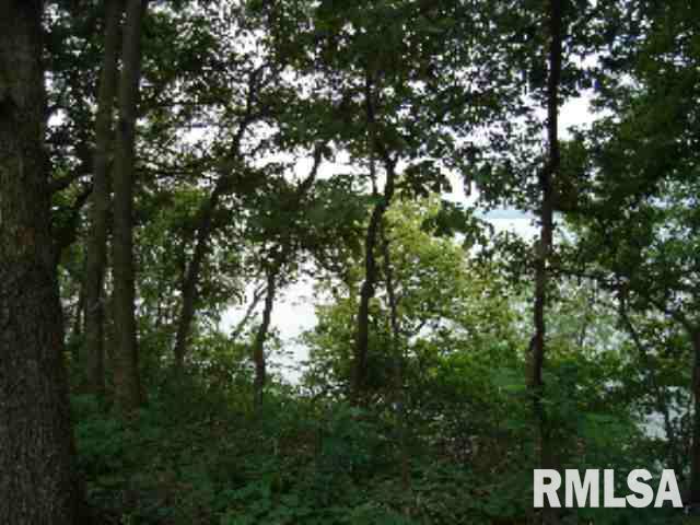16712 River Road North, Unit NORTH Cordova, IL 61242 - Photo 3 of 5 Gallery Image 3