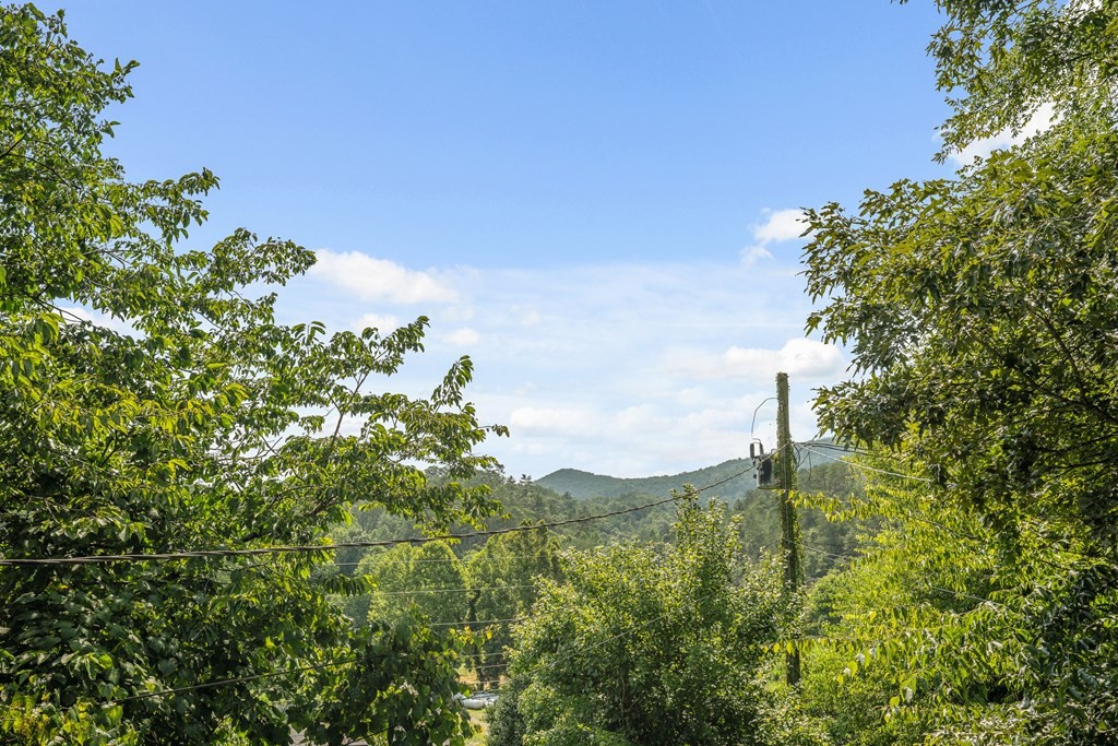 3029 Birds Creek Road, Unit 3 Sevierville, TN 37876 - Photo 17 of 23 Gallery Image 17