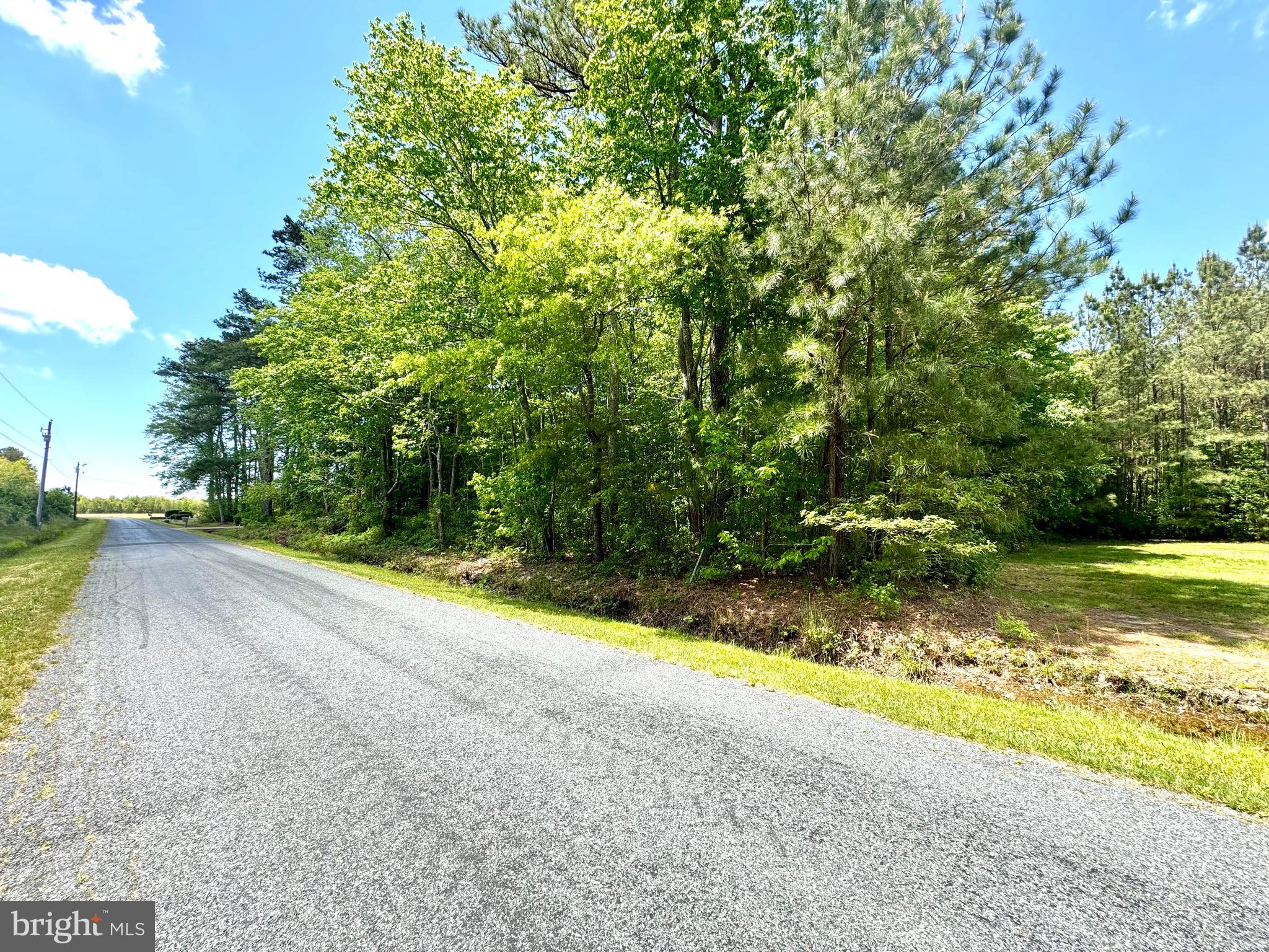 0 Anderson Road Princess Anne, MD 21853 - Photo 13 of 27