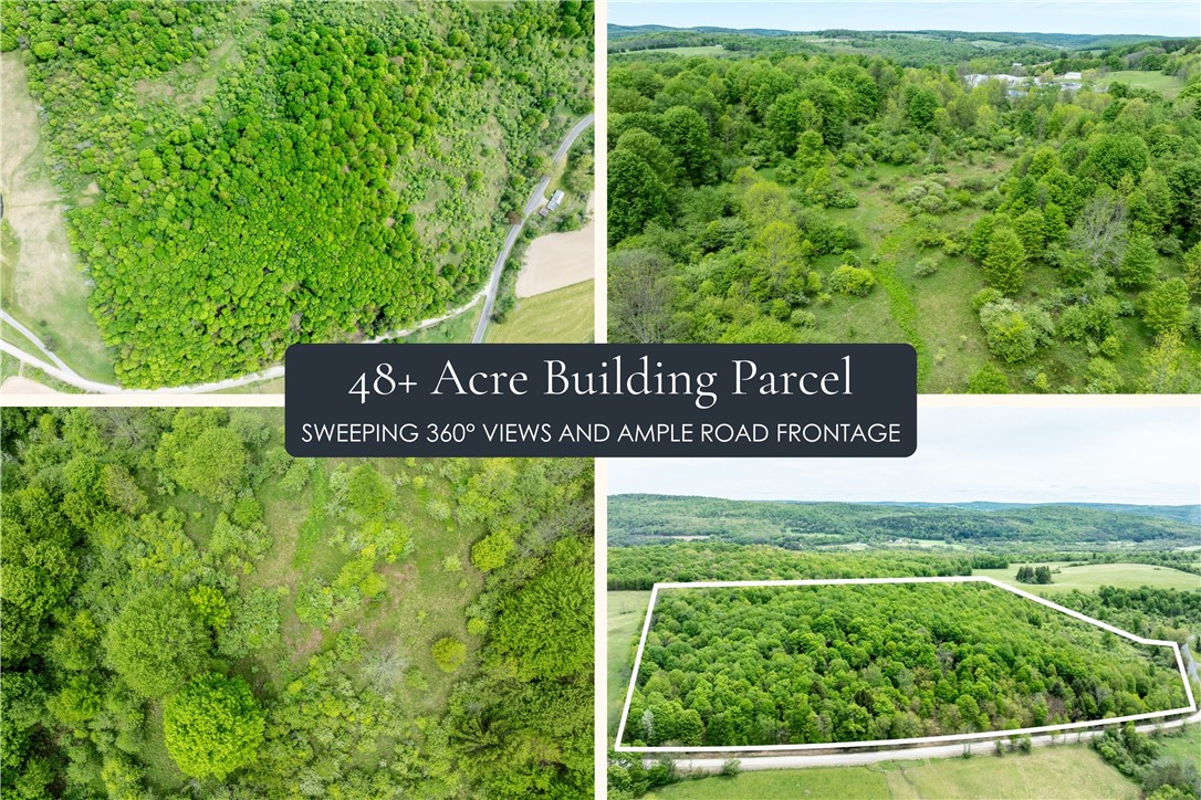 Bell Road New Berlin, NY 13411 - Photo 1 of 11