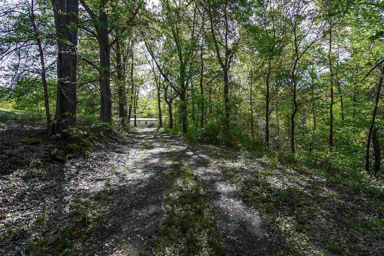 499 Robinson Road Greer, SC 29651 - Photo 4 of 25