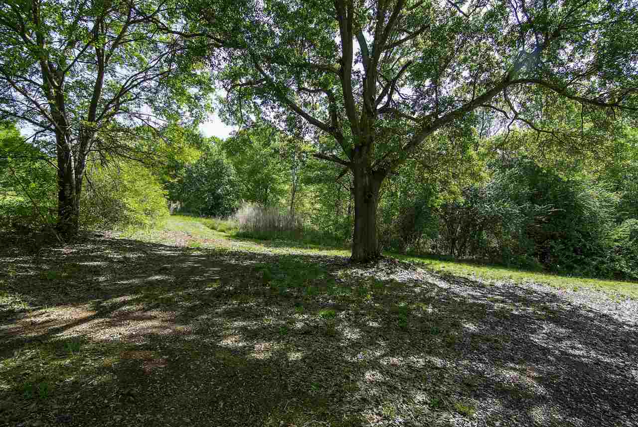 499 Robinson Road Greer, SC 29651 - Photo 5 of 25