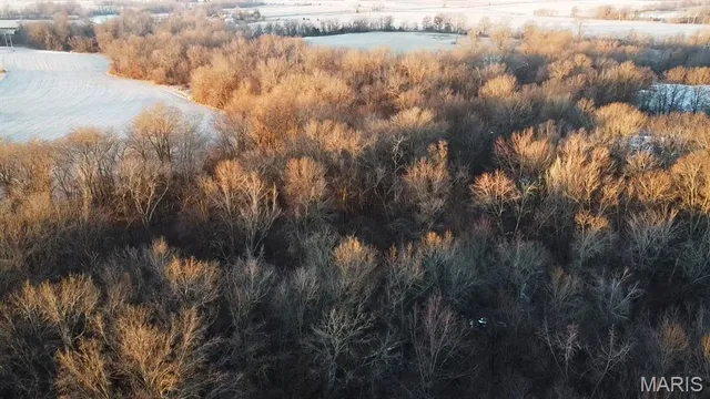 $314,000 | 0 Hwy Cc Highway, Wellsville, MO 63384