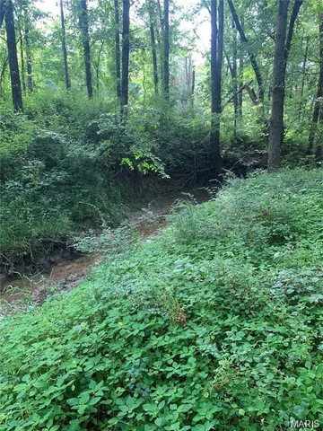 $314,000 | 0 Hwy Cc Highway, Wellsville, MO 63384