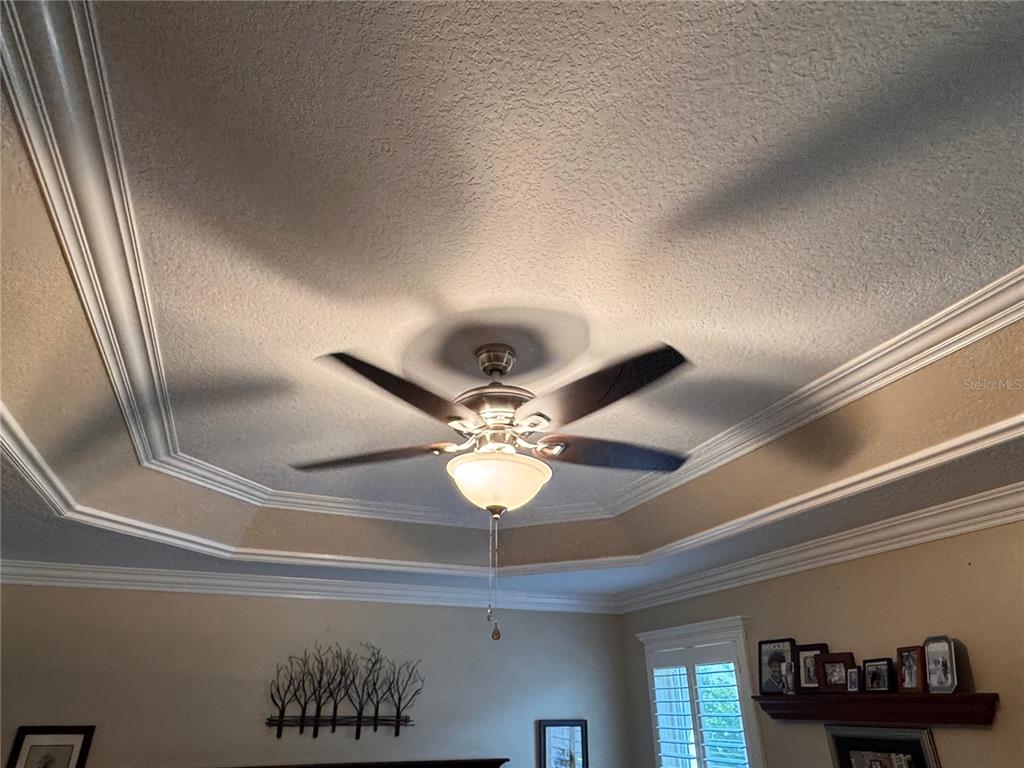 1092 Incorvaia Way The Villages, FL 32163 - Photo 21 of 45