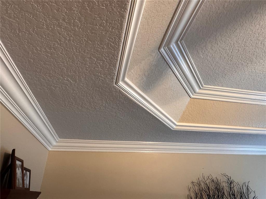 1092 Incorvaia Way The Villages, FL 32163 - Photo 22 of 45