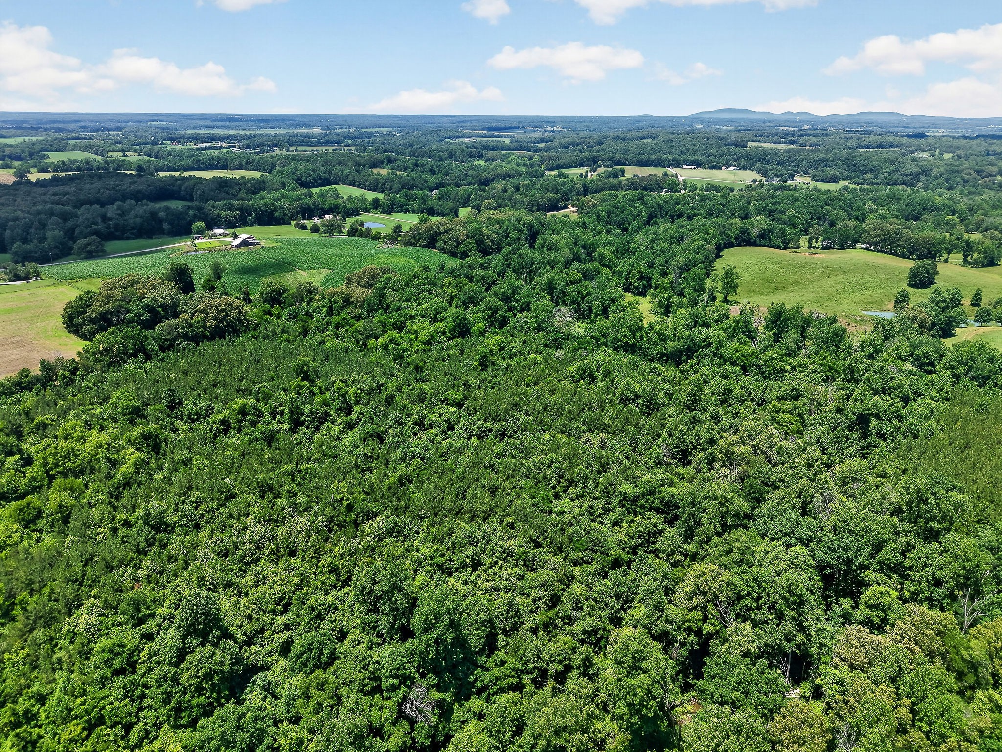 2531 Old Well Road Morrison, TN 37357 - Photo 54 of 63