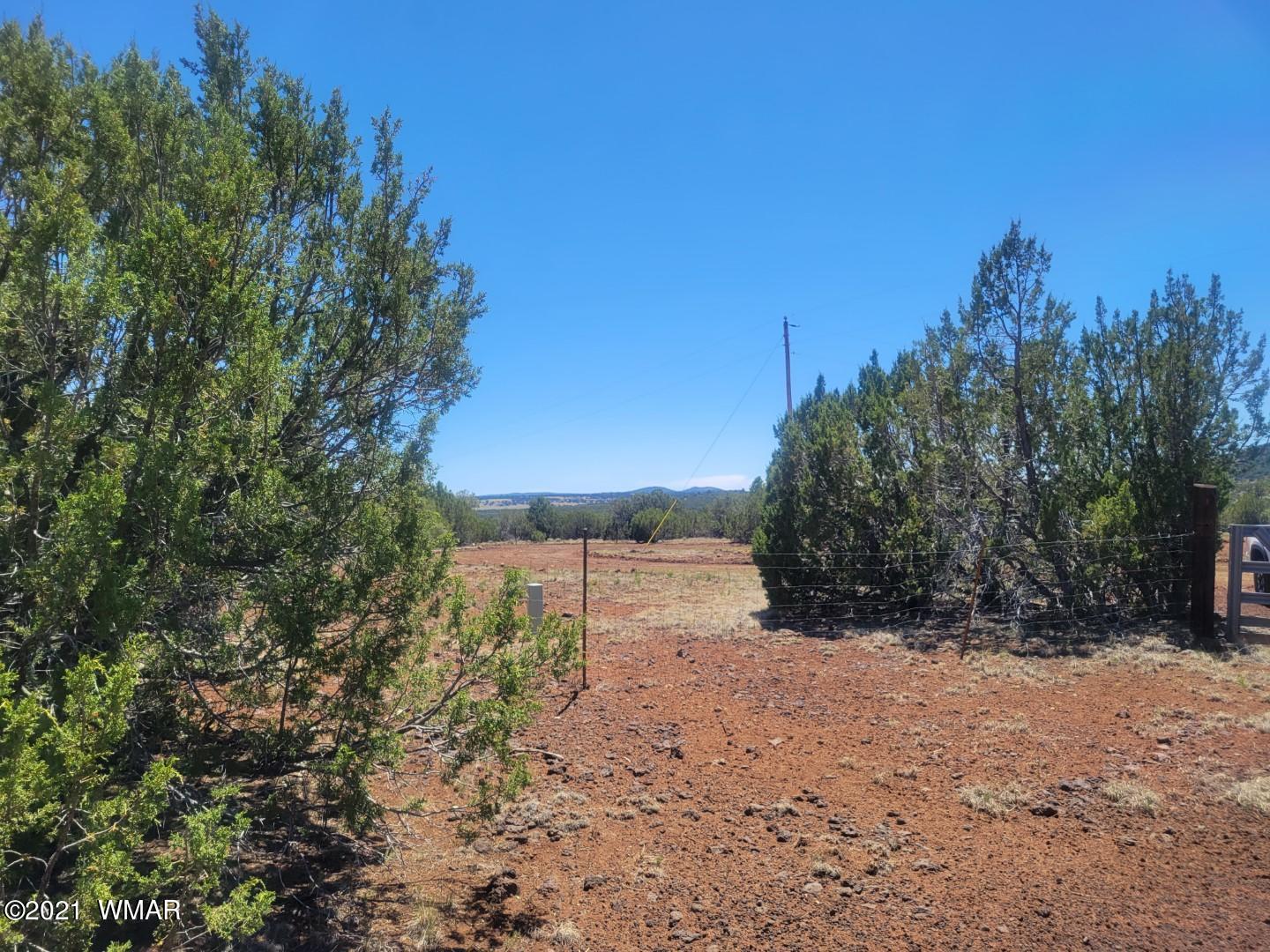 Tbd Tbd Concho, AZ 85924 - Photo 3 of 8