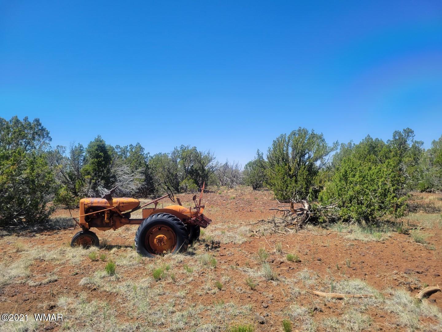 Tbd Tbd Concho, AZ 85924 - Photo 6 of 8