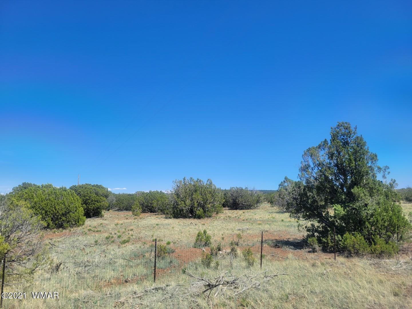 Tbd Tbd Concho, AZ 85924 - Photo 7 of 8