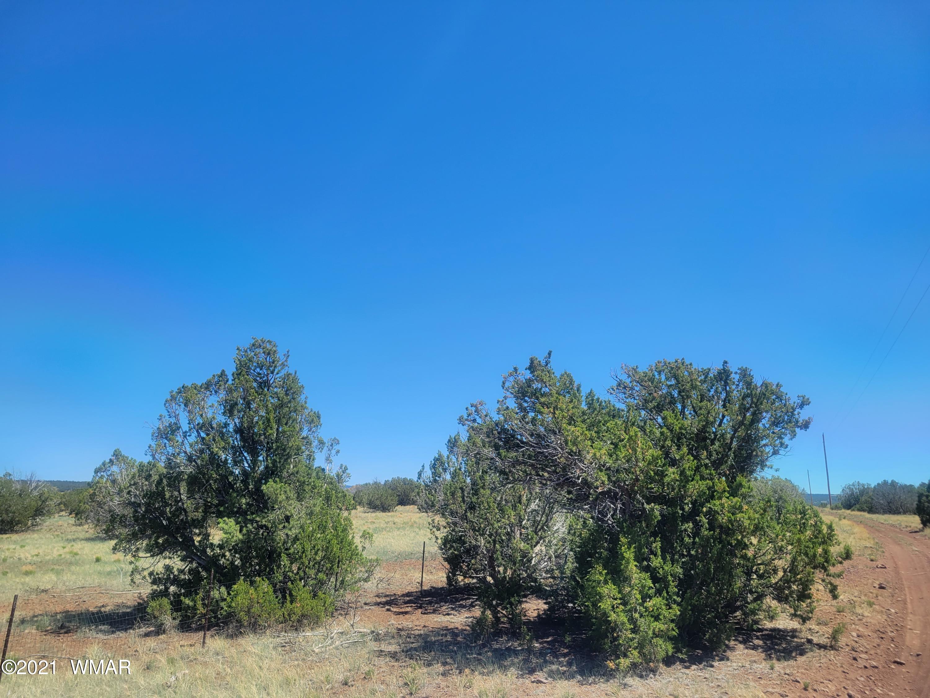 Tbd Tbd Concho, AZ 85924 - Photo 8 of 8