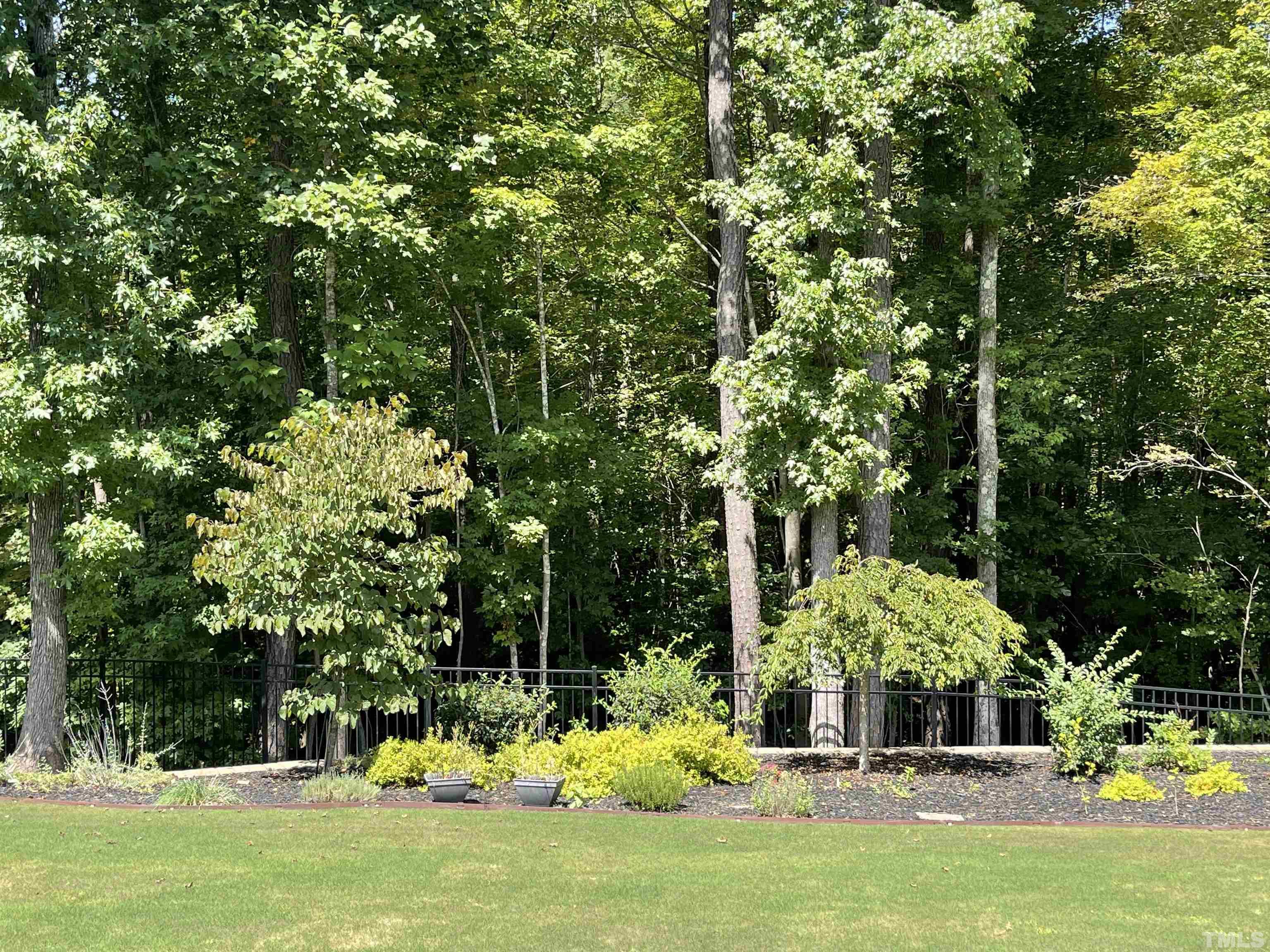 1209 Harrison Ridge Road Wake Forest, NC 27587 - Photo 3 of 30