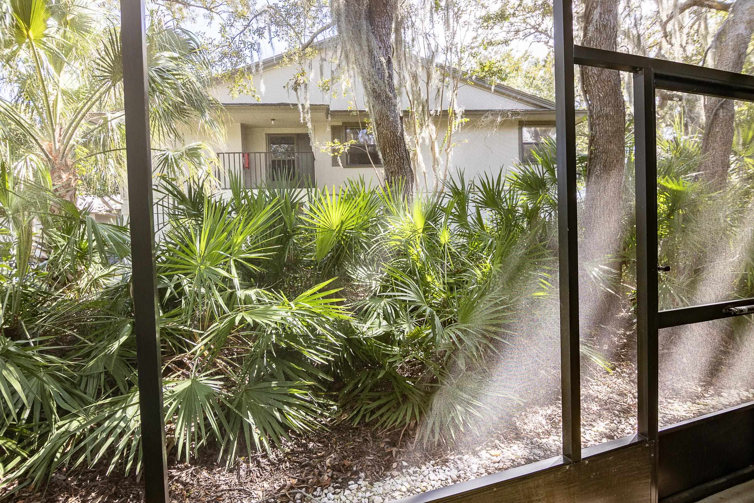 1 Talavera Court St. Augustine, FL 32086 - Photo 23 of 28 a view of a potted plants next to a road
