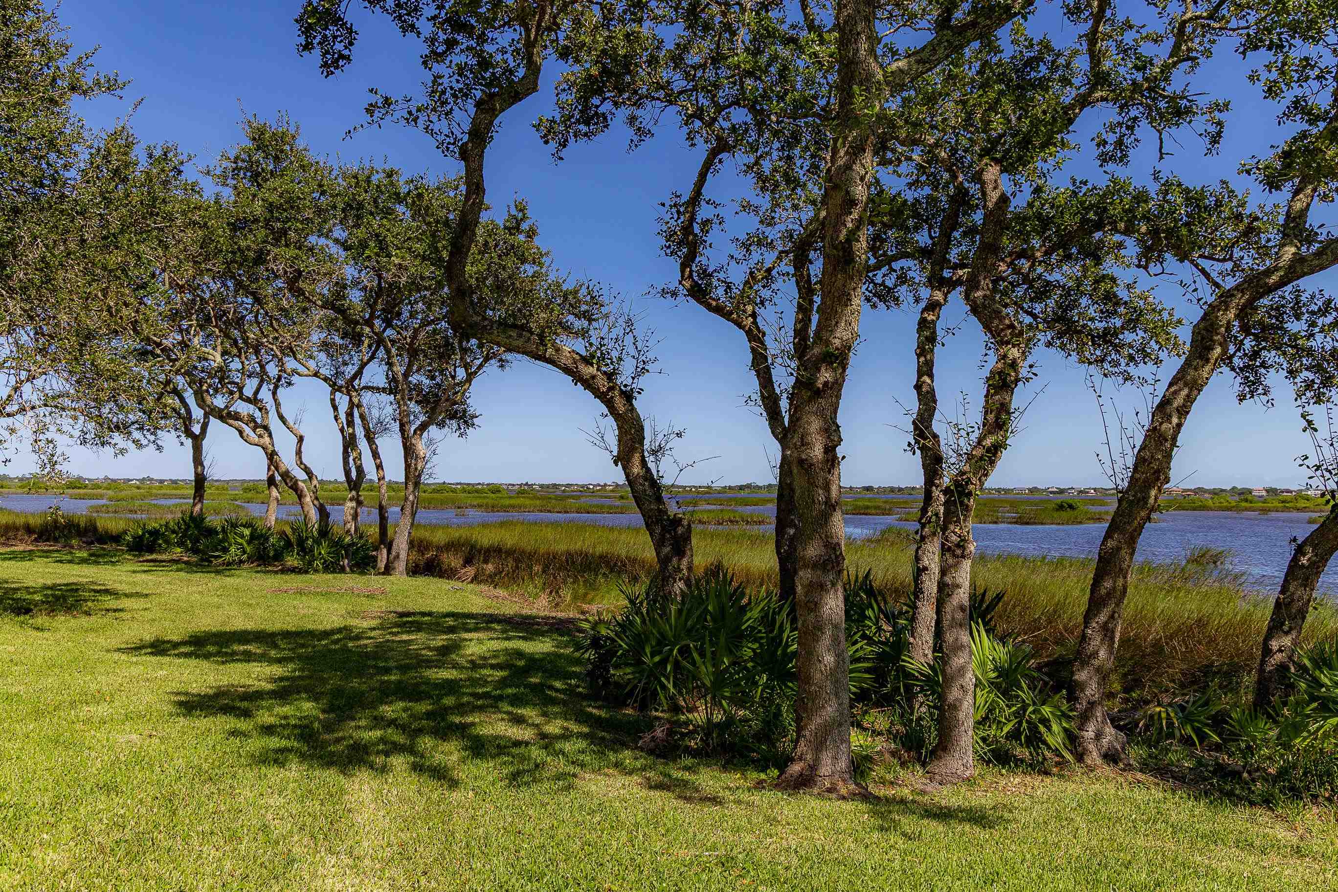 1 Talavera Court St. Augustine, FL 32086 - Photo 27 of 28 a view of a yard with an tree