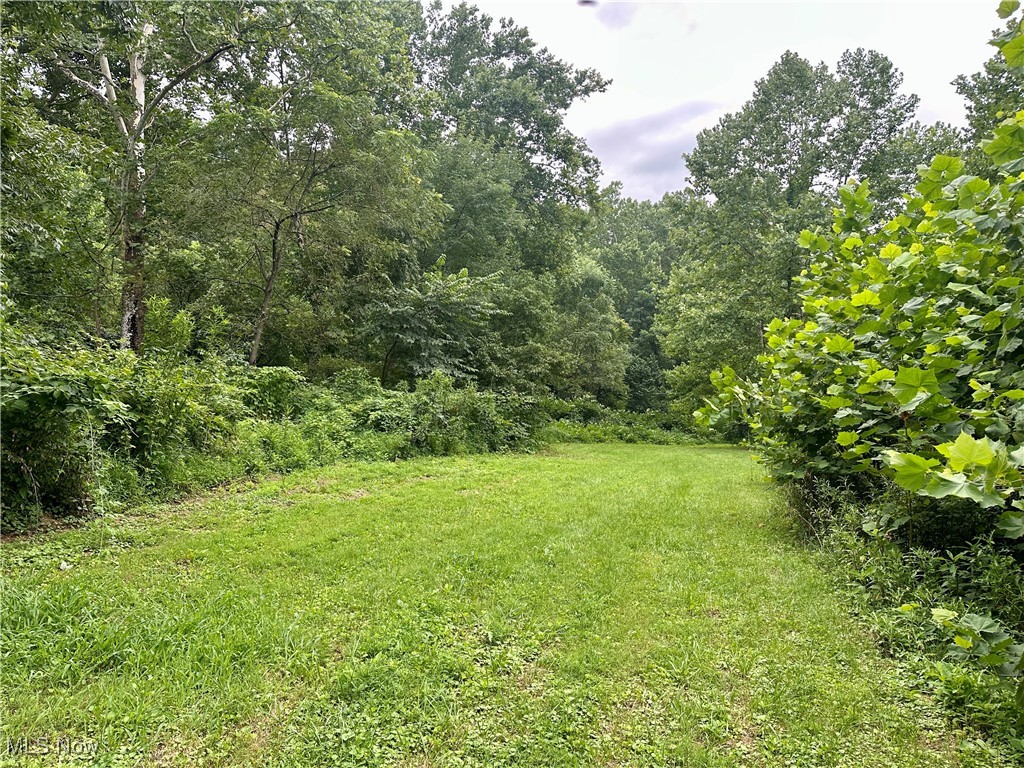 325 North Fork Road New Matamoras, OH 45767 - Photo 30 of 50 View of grassy yard with a wooded view