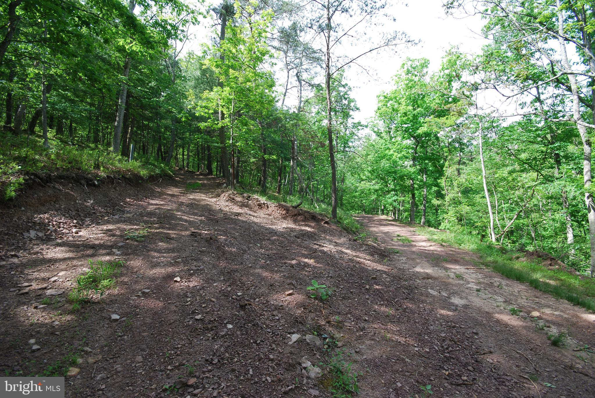 Lot 70-71 Mill Mountain Road Romney, WV 26757 - Photo 49 of 52