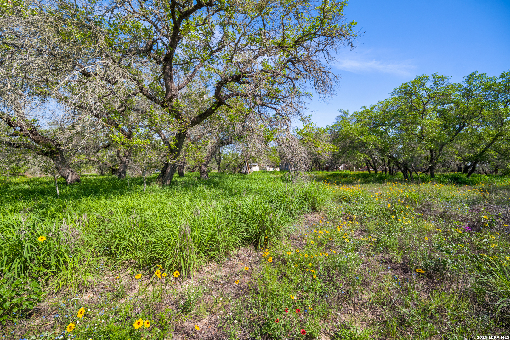 230 P R D65 Poteet, TX 78065 - Photo 11 of 29 a view of yard with green space