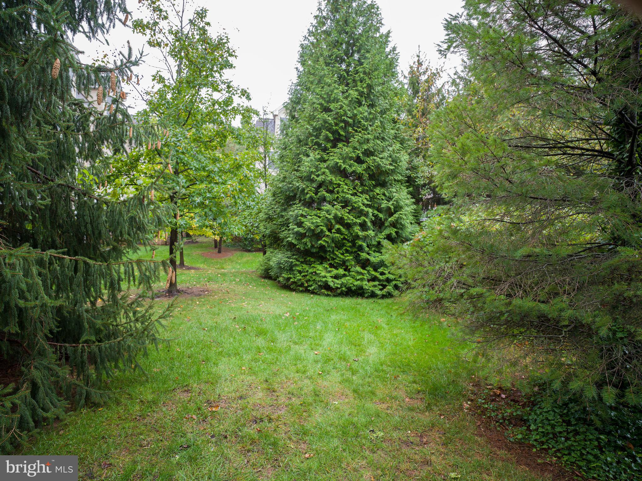 236 West Spring Avenue Ardmore, PA 19003 - Photo 30 of 30 a view of a lush green space