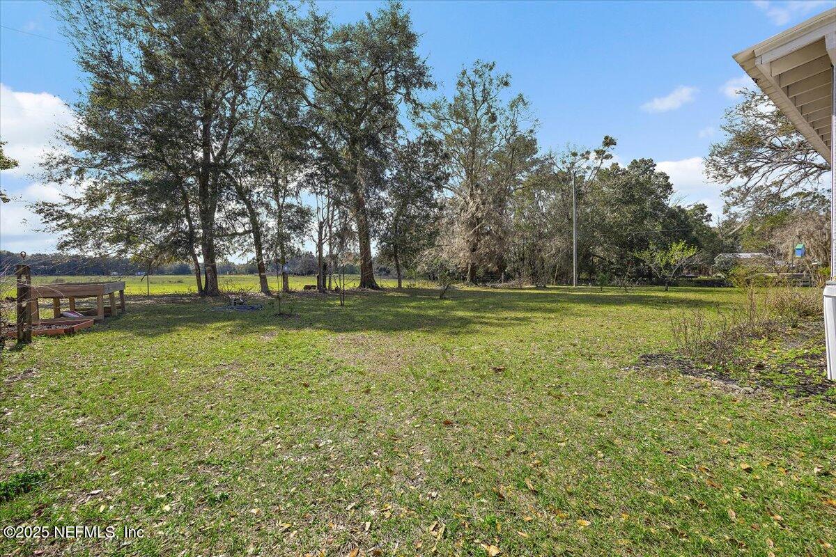 2719 Scully Road Middleburg, FL 32068 - Photo 18 of 24 15-Backyard