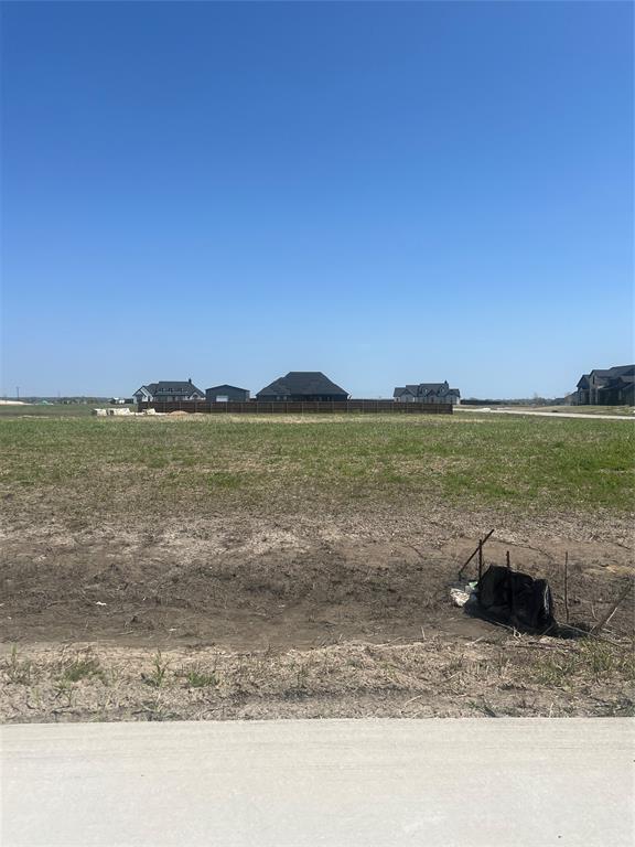 10670 Rye Bread Lane Venus, TX 76084 - Photo 3 of 4 a view of a lake view