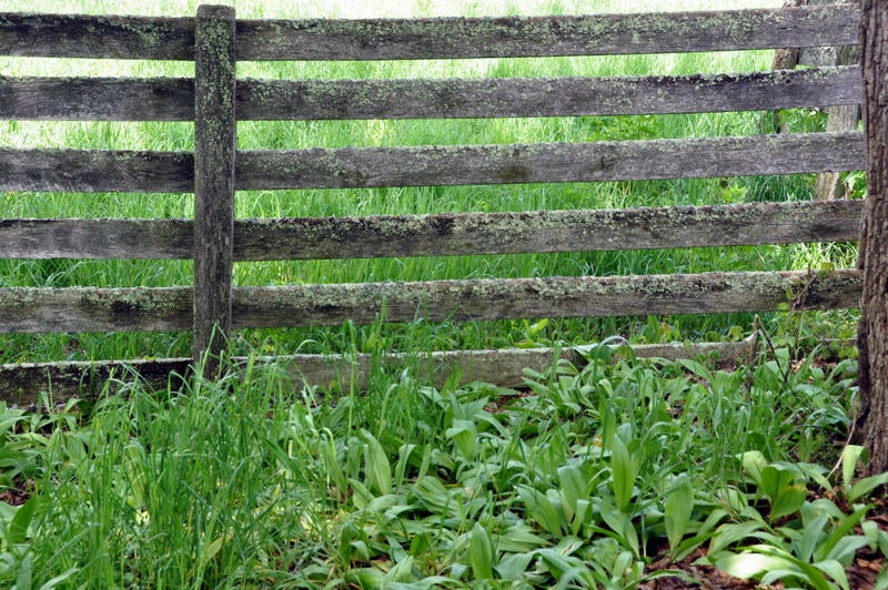 100 Hoke's Mill Road Union, WV 24983 - Photo 29 of 77 Gallery Image 29