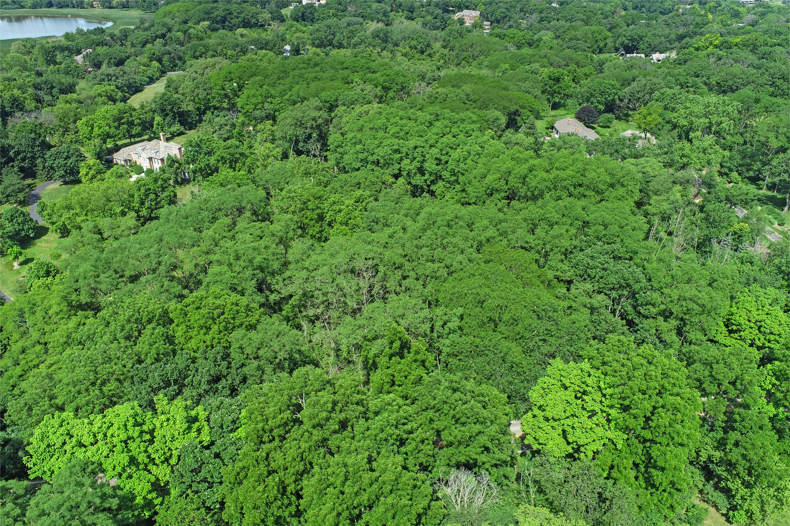 54 Brinker Road Barrington, IL 60010 - Photo 4 of 7 a view of a lush green forest