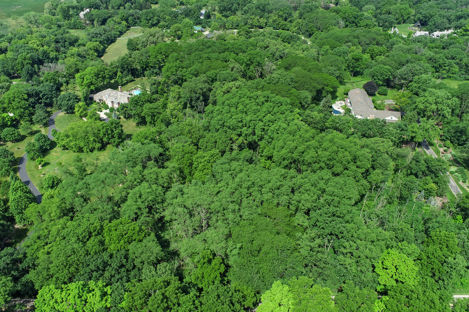 54 Brinker Road Barrington, IL 60010 - Photo 5 of 7 a backyard of a house with a lots of trees