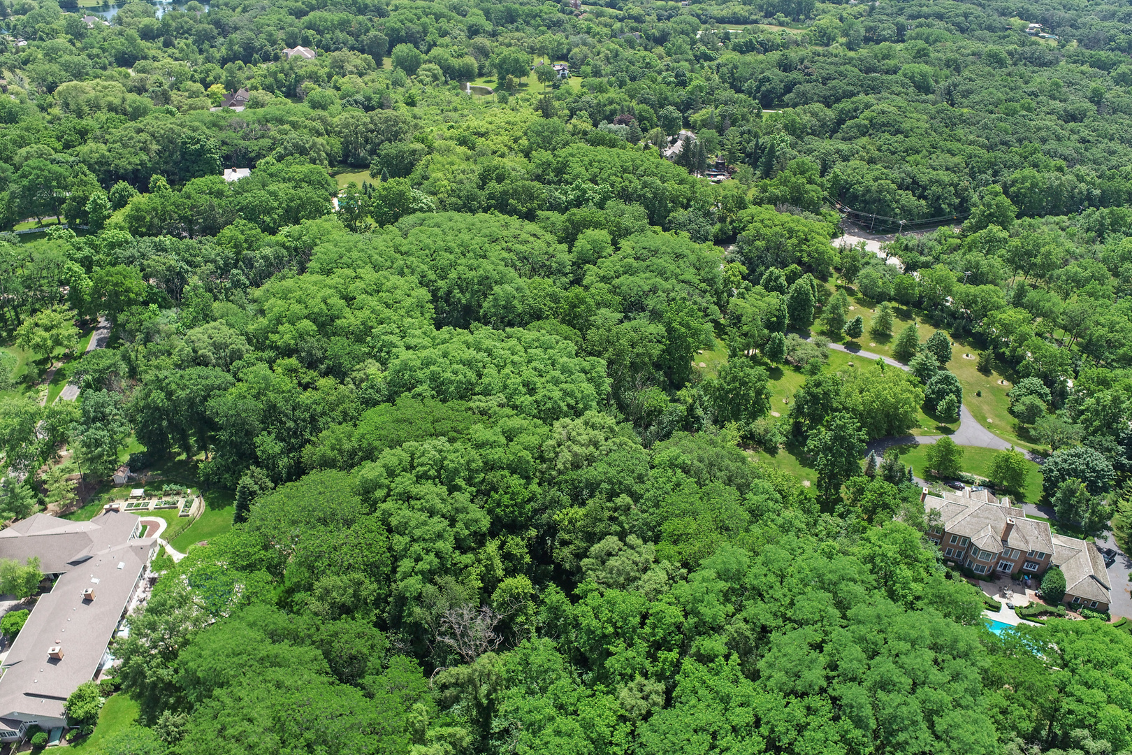 54 Brinker Road Barrington, IL 60010 - Photo 6 of 7 an aerial view of residential house with outdoor space and trees all around