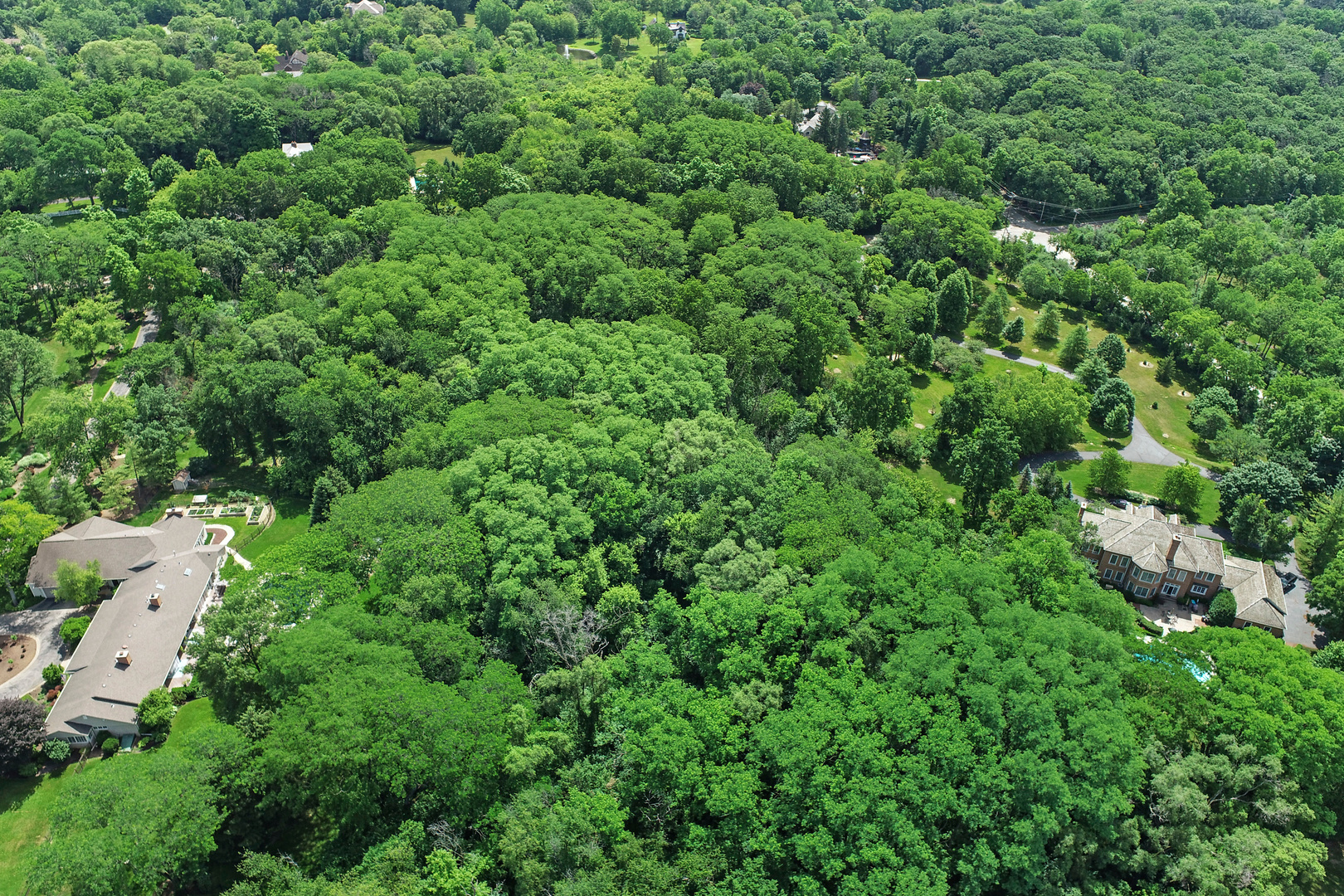 54 Brinker Road Barrington, IL 60010 - Photo 7 of 7 an aerial view of residential house with outdoor space and trees all around