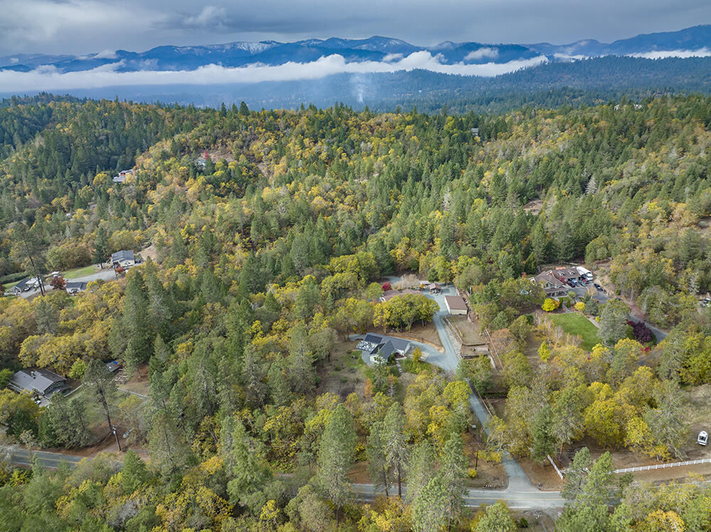 520 Stewart Road Grants Pass, OR 97526 - Photo 45 of 47 a view of a yard with a tree