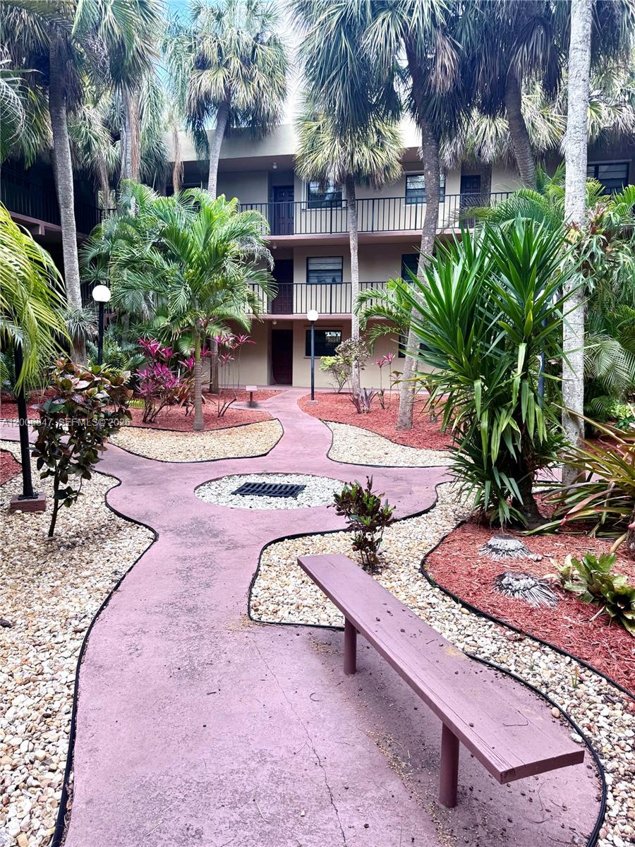 a view of a backyard with plants and palm tree