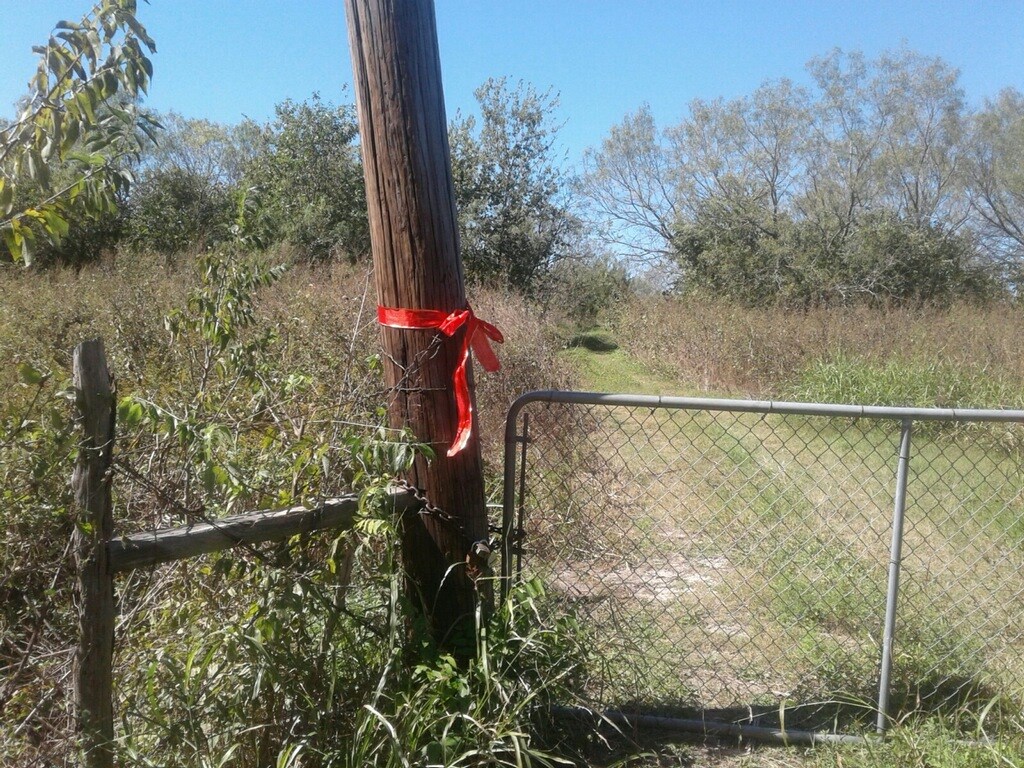 Thaxton Rd Thaxton Road Austin, TX 78747 - Photo 1 of 1 a view of a small yard