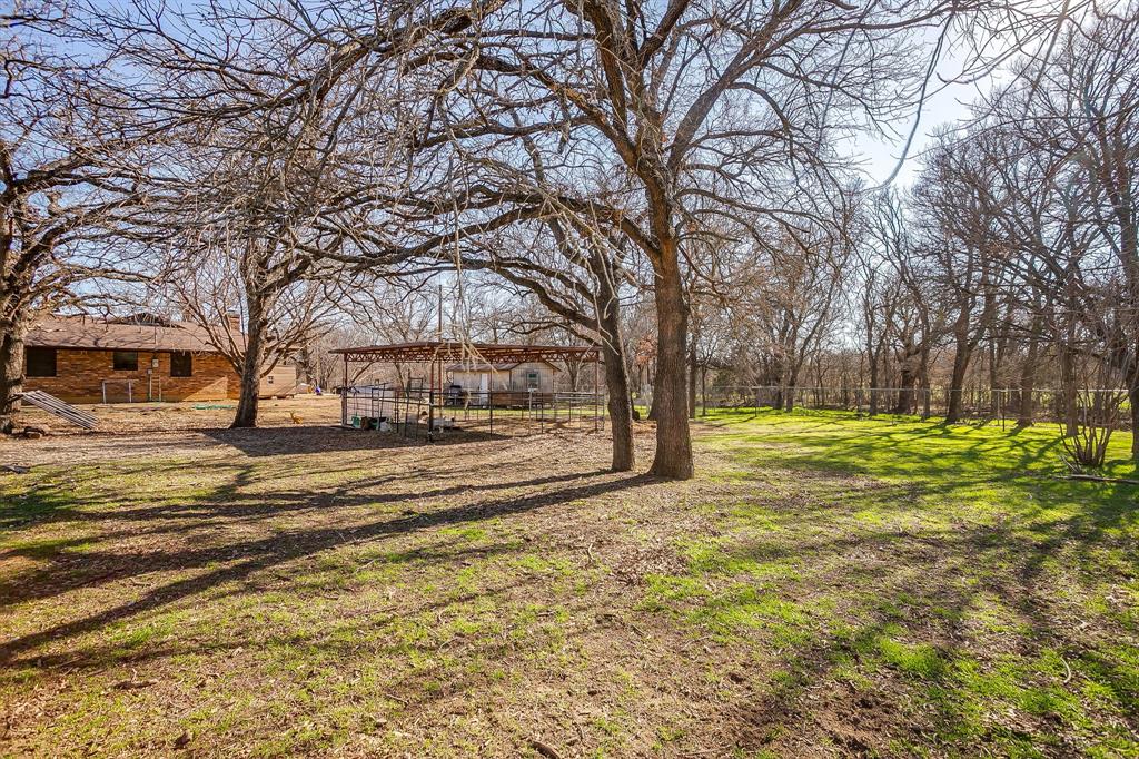 4763 Blue Flat Road Gordon, TX 76453 - Photo 31 of 40 a view of yard with tree