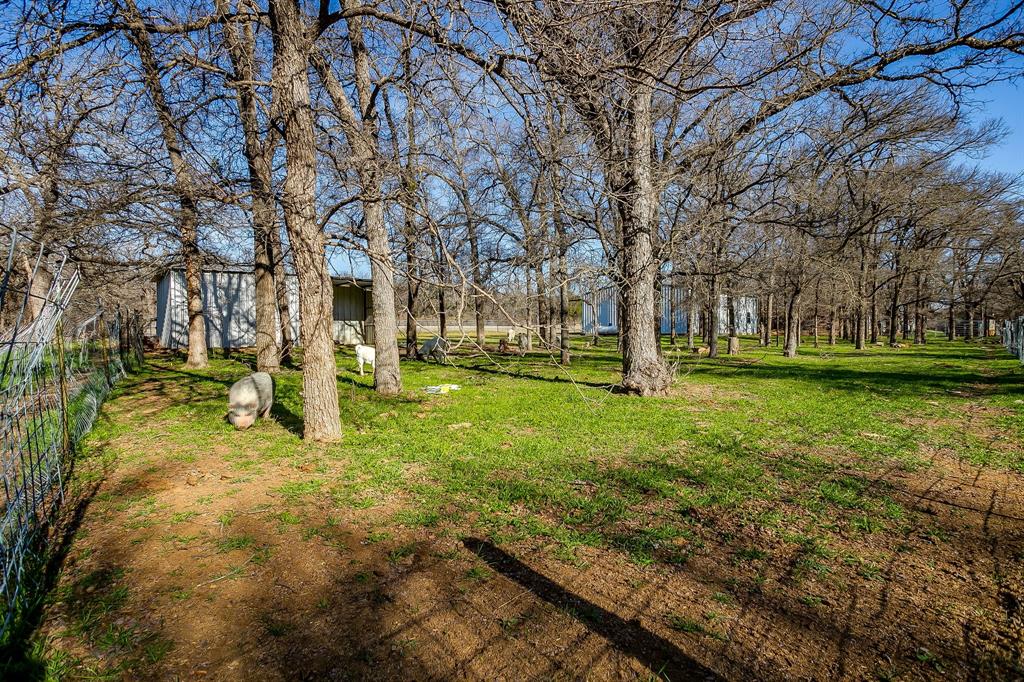 4763 Blue Flat Road Gordon, TX 76453 - Photo 38 of 40 a view of yard with trees
