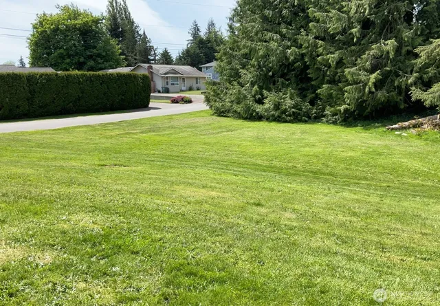 a view of a green yard