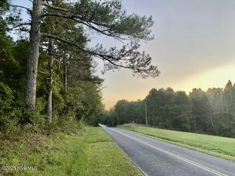 Tbd Sandhill Road Rockingham, NC 28379 - Photo 4 of 19 #10