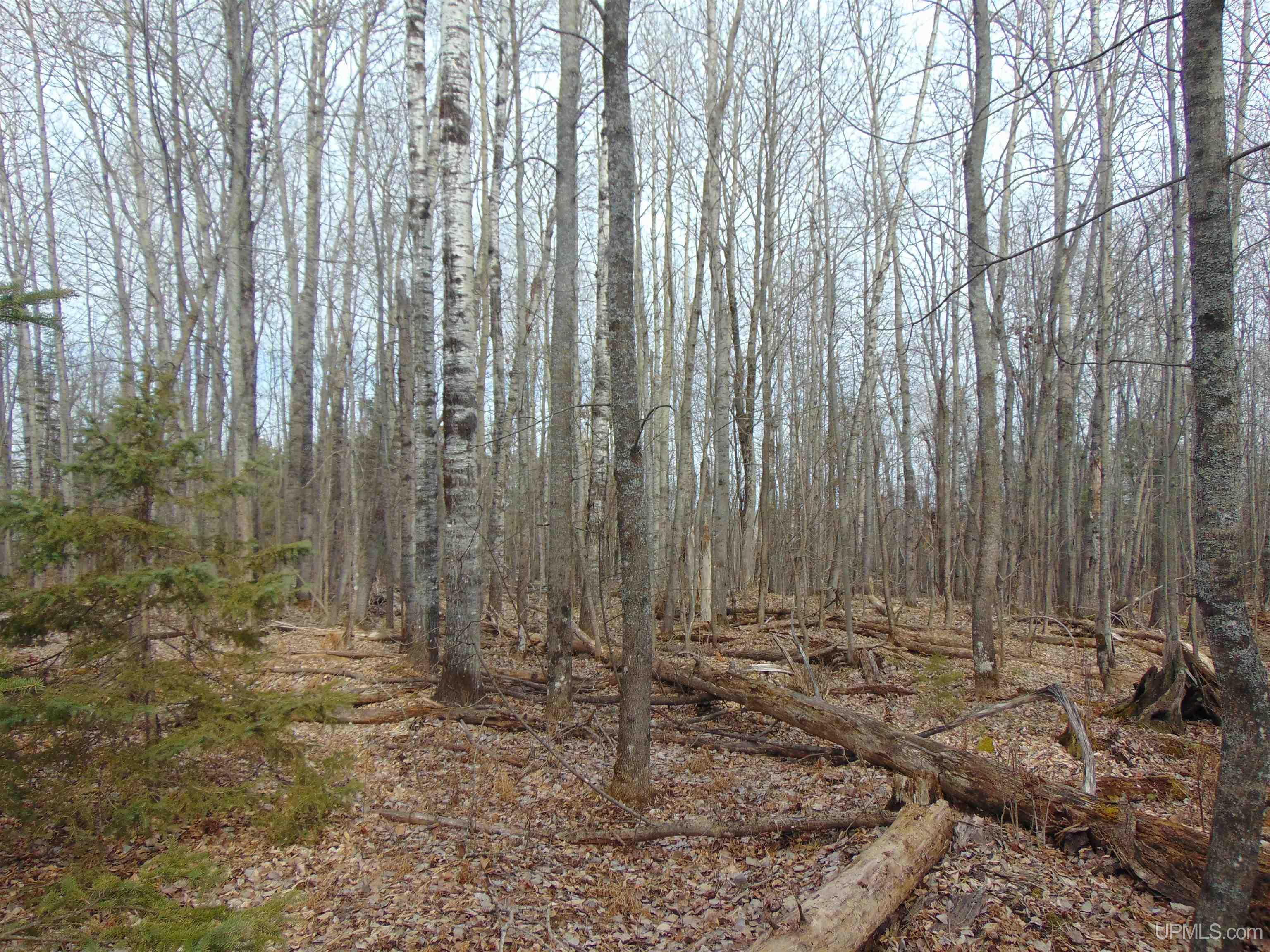 20 Grenlund Road Bruce Crossing, MI 49912 - Photo 17 of 18
