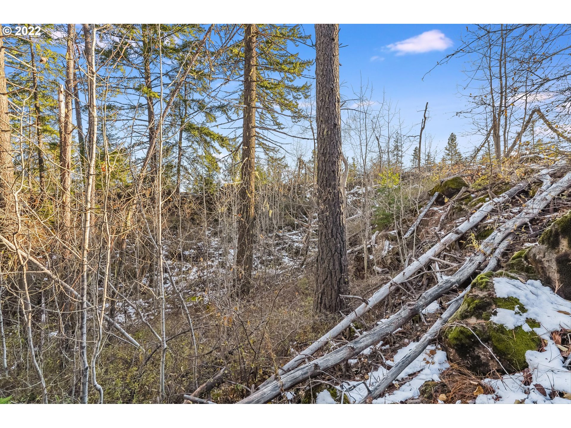 Byrkett Road Trout Lake, WA 98650 - Photo 16 of 18 Gallery Image 16