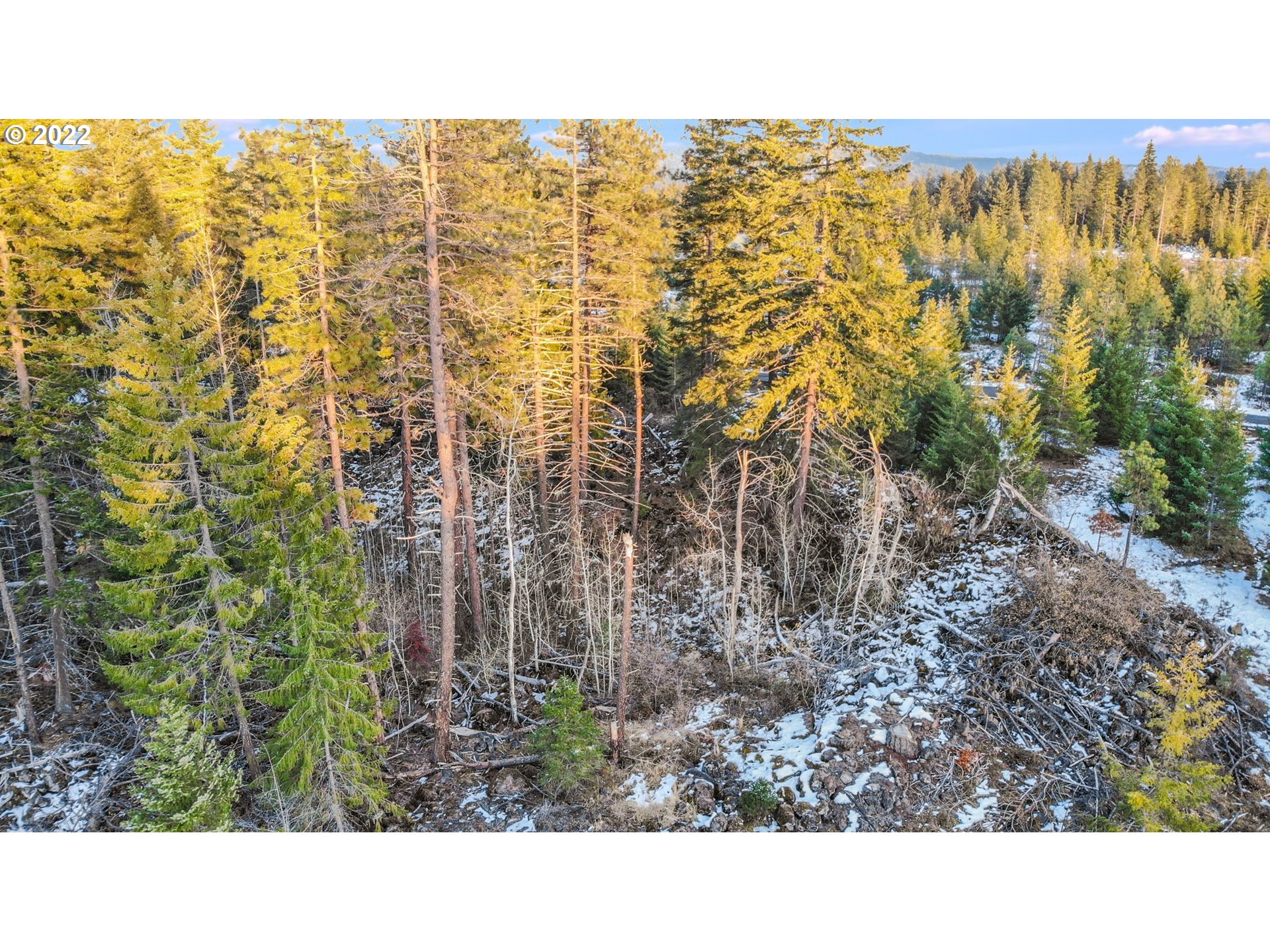 Byrkett Road Trout Lake, WA 98650 - Photo 7 of 18 Gallery Image 7