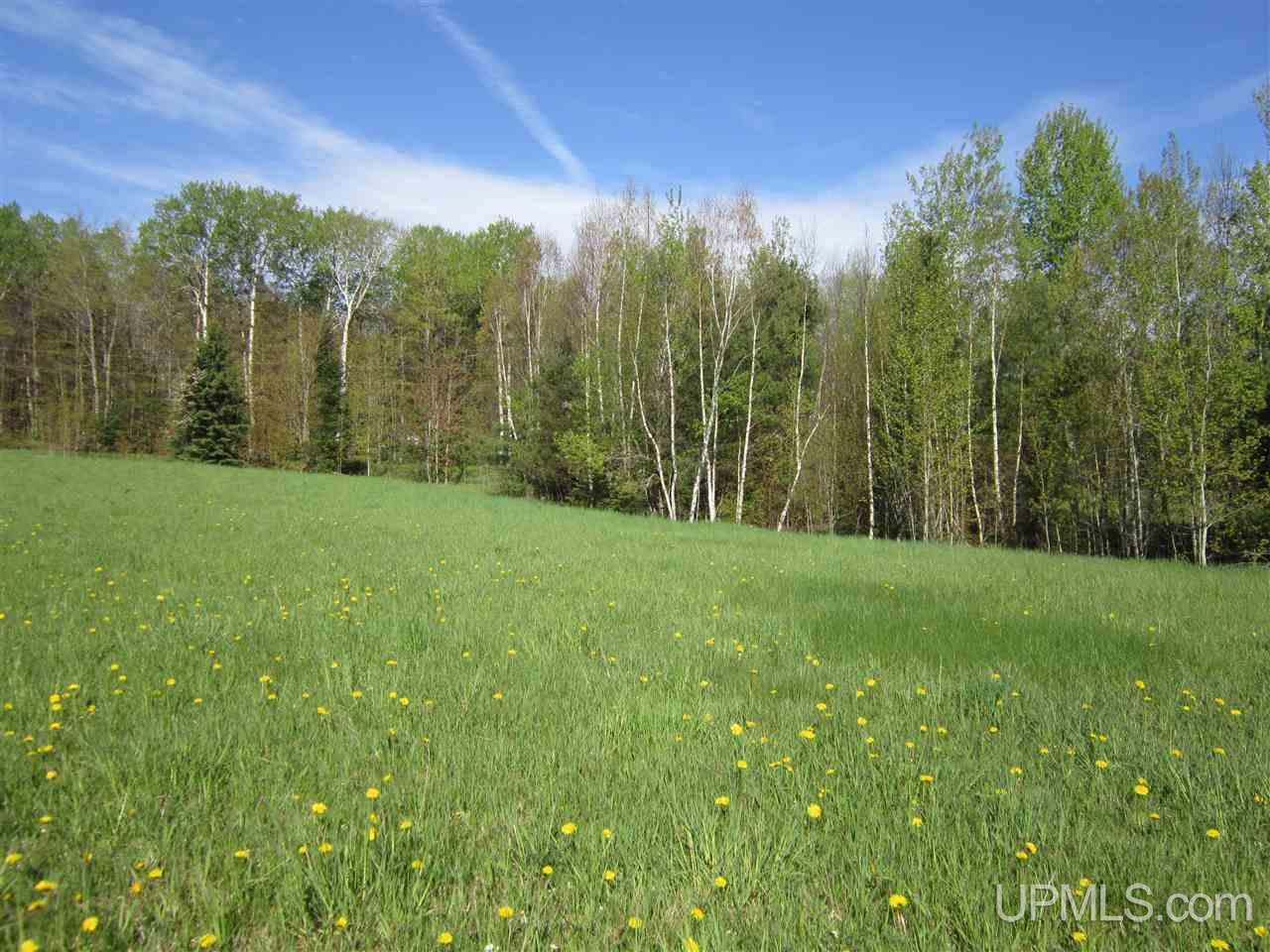 Lot 2 Ridge Road Munising, MI 49862 - Photo 1 of 1 Gallery Image 1