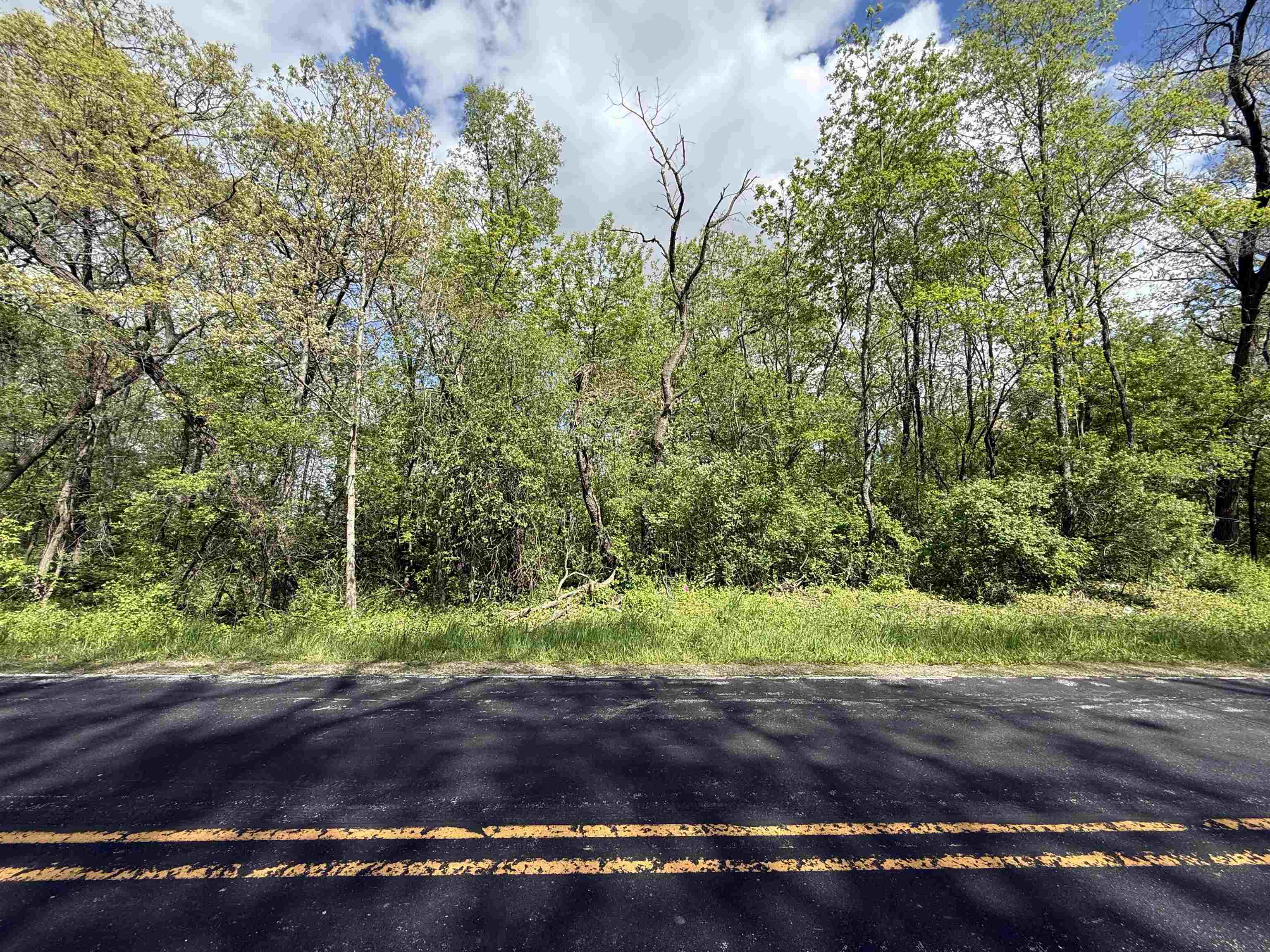 Lot Borchert, Borchert Road Oregon, WI 53575 - Photo 6 of 6