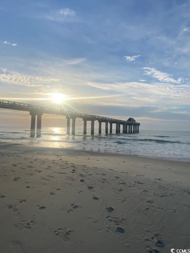 8650L South Bridge Drive, Unit A Surfside Beach, SC 29575 - Photo 17 of 18