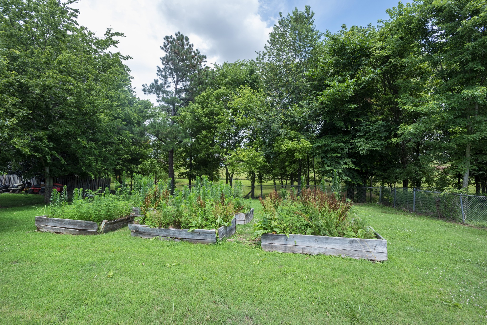 240 Hugh Hunter Road Oak Grove, KY 42262 - Photo 14 of 16 Gallery Image 14