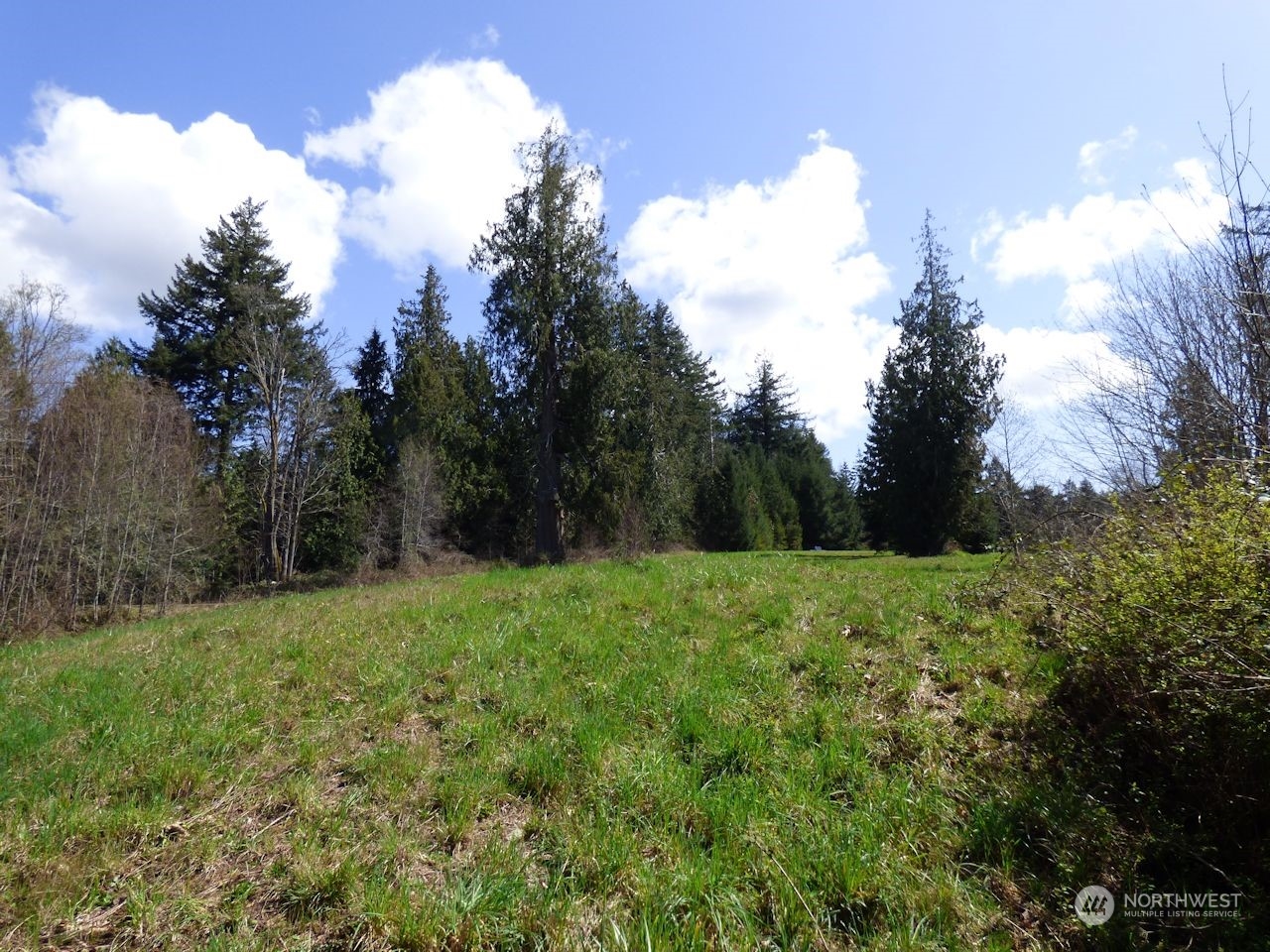 0 Riverside East (6441) Road, Unit 6441 Cathlamet, WA 98612 - Photo 11 of 12