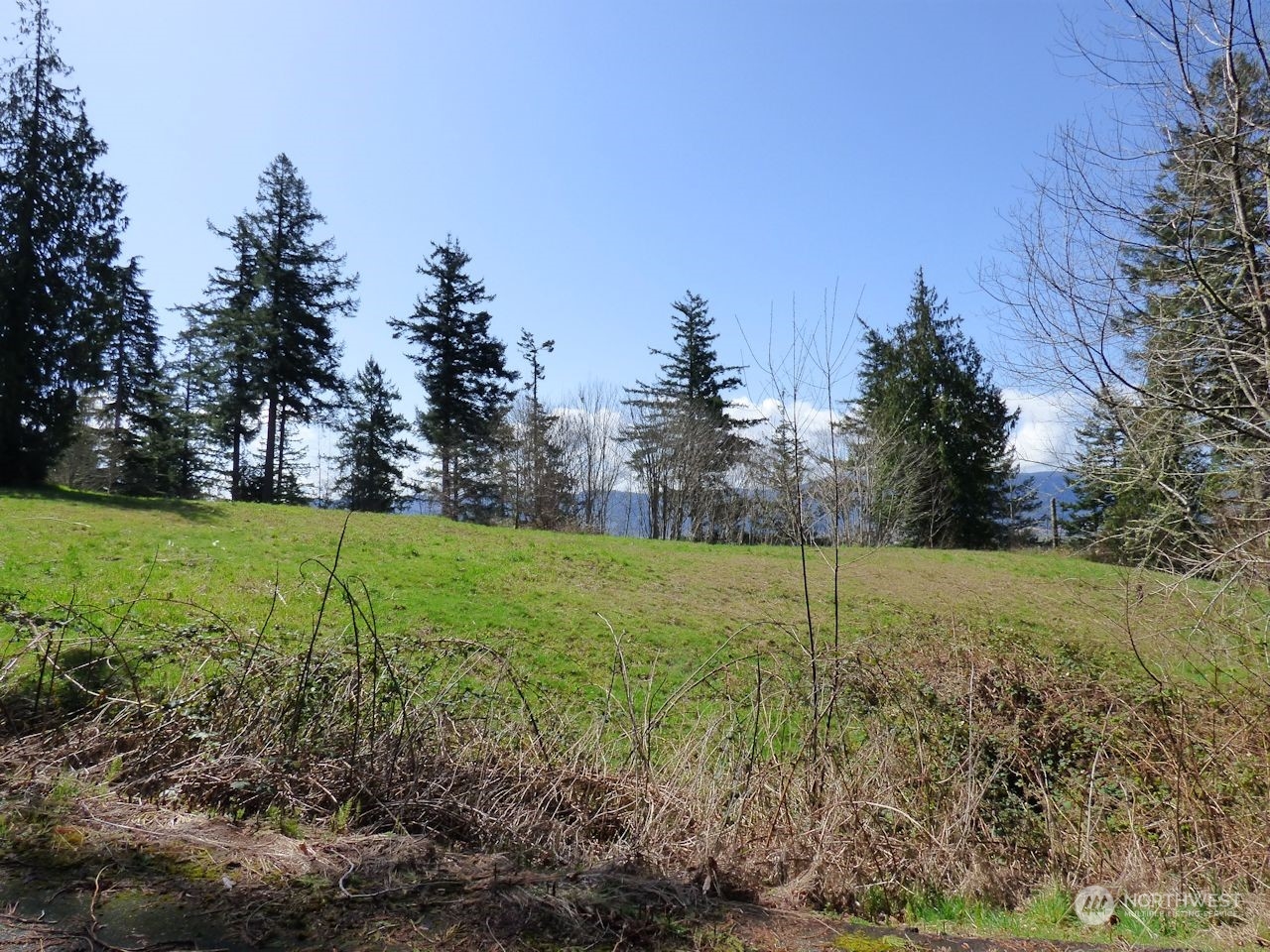 0 Riverside East (6441) Road, Unit 6441 Cathlamet, WA 98612 - Photo 4 of 12
