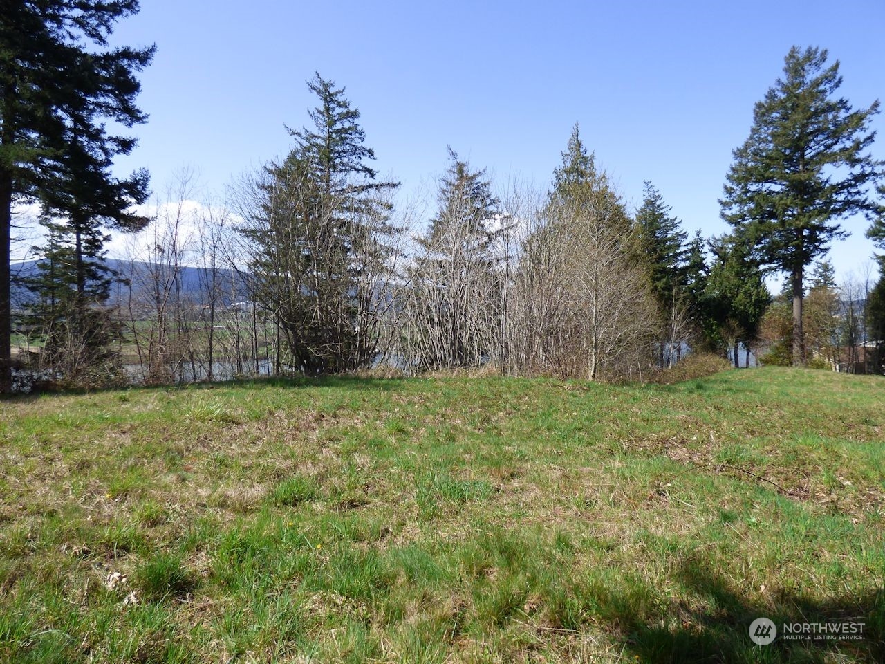 0 Riverside East (6441) Road, Unit 6441 Cathlamet, WA 98612 - Photo 6 of 12