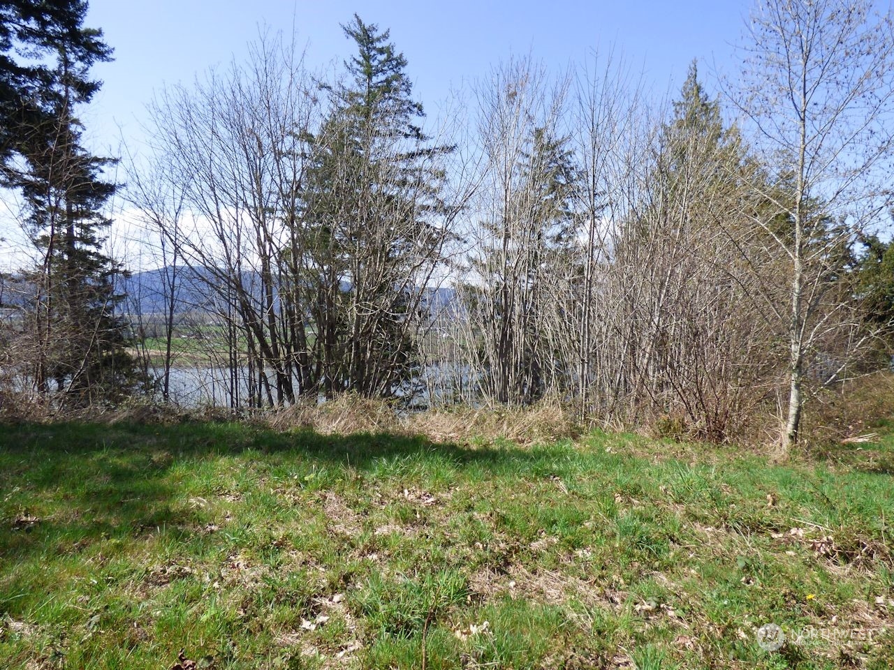 0 Riverside East (6441) Road, Unit 6441 Cathlamet, WA 98612 - Photo 8 of 12