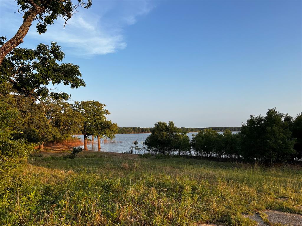 1036 Paradise Cove Road Pottsboro, TX 75076 - Photo 27 of 40 a view of lake with trees